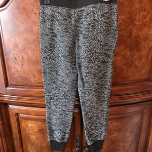 Express Joggers